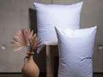 Oreiller 100% duvet d'oie de Mazurie de qualité hôtel
