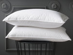 Oreillers 100% duvet d'oie en 50x70cm et 65x65cm