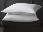 Oreiller naturel 30% duvet d'oie en 50x70cm et 65x65cm